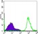 CD19 Primary Antibody MP30039 [M2E2]