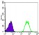 NME1 Primary Antibody MP30051 [M4B2]