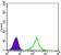 KLHL11 Primary Antibody MP30069 [M1B9A8]