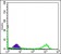 EIF4E Primary Antibody MP30189 [M5D11]