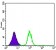 CDK5 Primary Antibody MP30210 [M4E4]