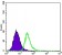 ApoE Primary Antibody MP30215 [M1H4]