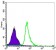 NFKB1 Primary Antibody MP30224 [M5D10]