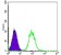 HSP90AB1 Primary Antibody MP30227 [M5G4]