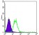 FYN Primary Antibody MP30229 [M2A10]