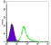 ACTA2 Primary Antibody MP30235 [M4A4]