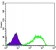 XRCC5 Primary Antibody MP30237 [M5C5]
