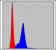 CRK Primary Antibody MP30257 [M3G11E8]