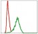 DLK1 Primary Antibody MP30280 [M3A10]