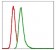 G6PD Primary Antibody MP30284 [M5E12]