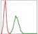 BMI1 Primary Antibody MP30285 [M3E3]