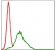 RSK2 Primary Antibody MP30286 [M4E10]
