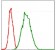 G6PD Primary Antibody MP30287 [M2H7]