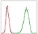MCM2 Primary Antibody MP30289 [M1E7]