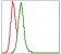 MAP2K7 Primary Antibody MP30291 [M4E5]