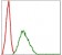 NQO1 Primary Antibody MP30292 [M4D12]