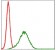 NQO1 Primary Antibody MP30293 [M1A11]