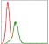GSTM1 Primary Antibody MP30295 [M1H4A4]