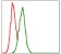 GSTM1 Primary Antibody MP30296 [M1H4F2]