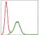 CD9 Primary Antibody MP30298 [M5G6]