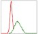 MSH6 Primary Antibody MP30299 [M3E1]
