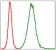 TNNI2 Primary Antibody MP30300 [M2F12G2]