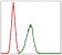 LPlunc1 Primary Antibody MP30302 [M2A5]