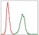 SERPINE1 Primary Antibody MP30306 [M1D5]