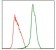 MPL Primary Antibody MP30309 [M1H2]
