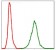 NEFL Primary Antibody MP30310 [M1H3]