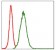 MMP3 Primary Antibody MP30311 [M4F10]