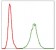 NEFL Primary Antibody MP30313 [M2G10]