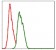 NEDD8 Primary Antibody MP30314 [M1A7]