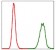 NEDD8 Primary Antibody [M5B8]