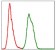 SKP1 Primary Antibody MP30316 [M1H9]