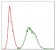 UBB Primary Antibody MP30317 [M3C12]