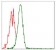 RPS6KB1 Primary Antibody MP30319 [M5G9]