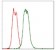 CD30 Primary Antibody MP30324 [M3B10]