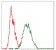 RAF1 Primary Antibody MP30325 [M4G4]