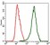 RAF1 Primary Antibody MP30330 [M4G4]