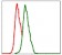 ITGB1 Primary Antibody MP30332 [M3B6]