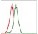 PIK3CA Primary Antibody MP30334 [M4F3]