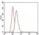 LRP5 Primary Antibody MP30336 [M2B11]