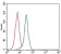 FN1 Primary Antibody MP30339 [M2F4]
