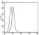 FN1 Primary Antibody MP30340 [M2F4G2]