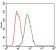 HEXA Primary Antibody MP30343 [M3F10]