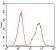 PDX1 Primary Antibody MP30344 [M2G12]