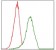 ITGA4 Primary Antibody MP30345 [M5C4]