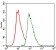 CEBPA Primary Antibody MP30347 [M4E10]