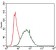 CK5 Primary Antibody MP30349 [M2C2]